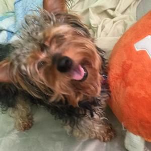 Meet your Posher, Juanito